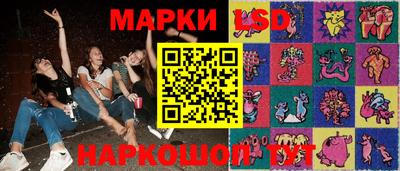 дмт Камышлов