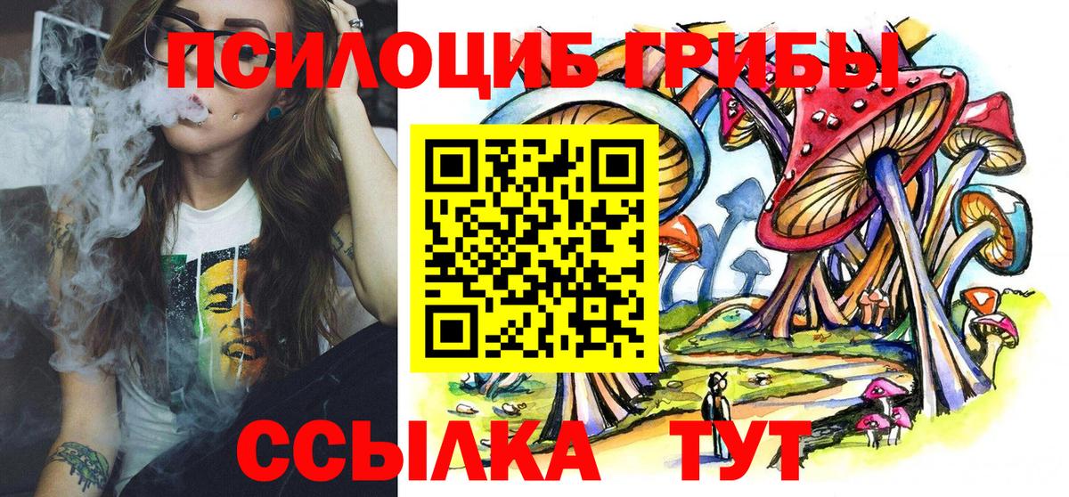 Псилоцибиновые грибы Cubensis  Вход с VPN  Комсомольск-на-Амуре 