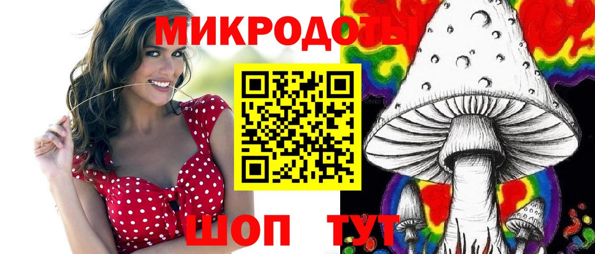 Галлюциногенные грибы Psilocybine cubensis Комсомольск-на-Амуре
